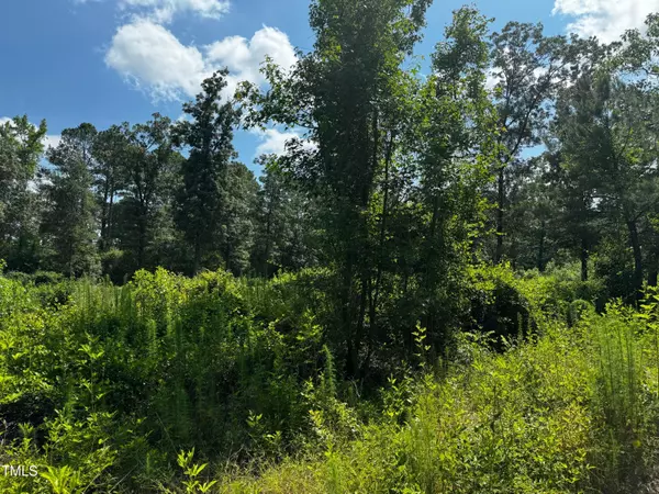 Lot 10 Wildlife Street, La Grange, NC 28551