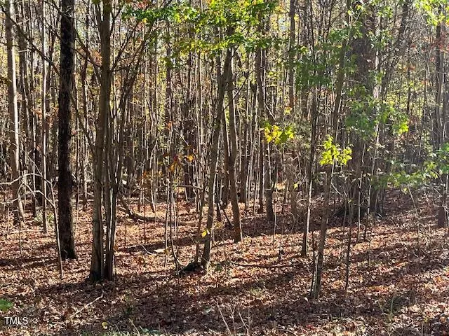 Roxboro, NC 27574,17.74 Acre Halifax Road