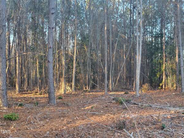 Lot 6 & 7 Nc Hwy 27, Lillington, NC 27546