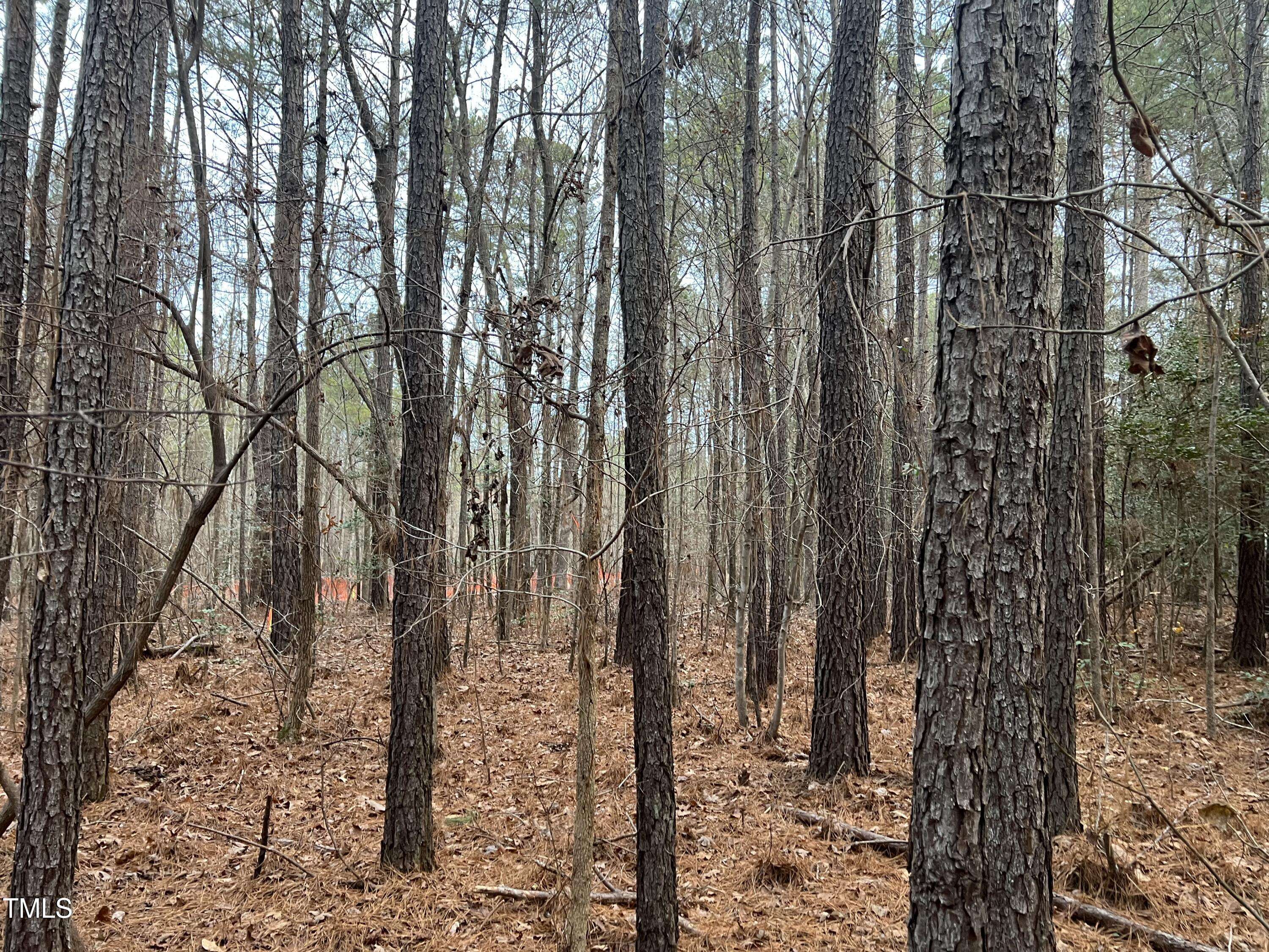 121 Anfield, New Hill, NC 27562