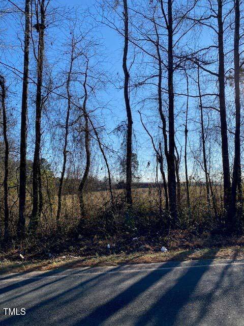 Lot 4 Bunnlevel Erwin, Erwin, NC 28339