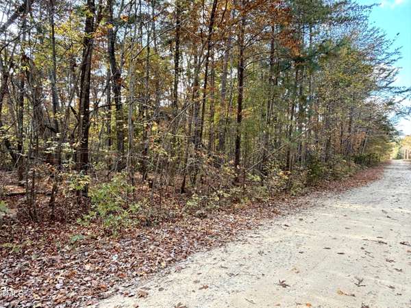 Lot 14 Hunters Circle, Rougemont, NC 27572