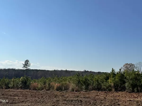 Lot 7 Green Downs Trail, Spring Hope, NC 27882