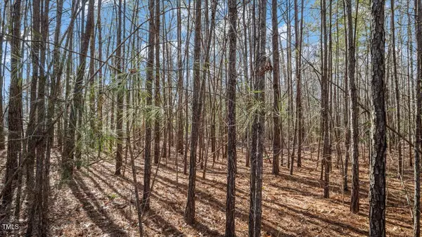 Louisburg, NC 27549,153 Shaman Drive