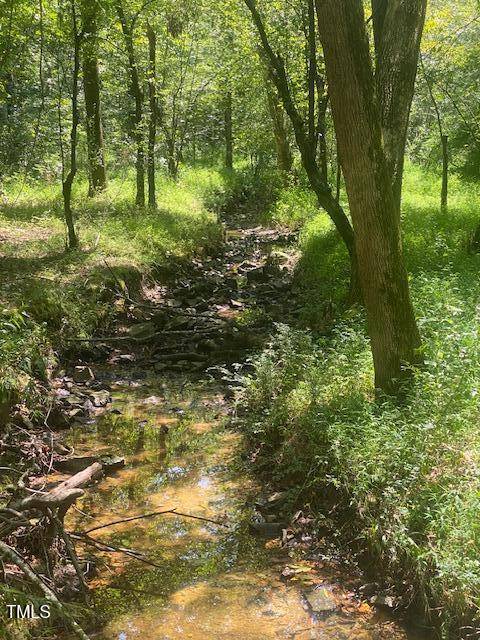 0 Lothlorien Lane, Pittsboro, NC 27312