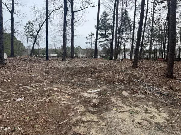 118 Stella Court, Morrisville, NC 27560