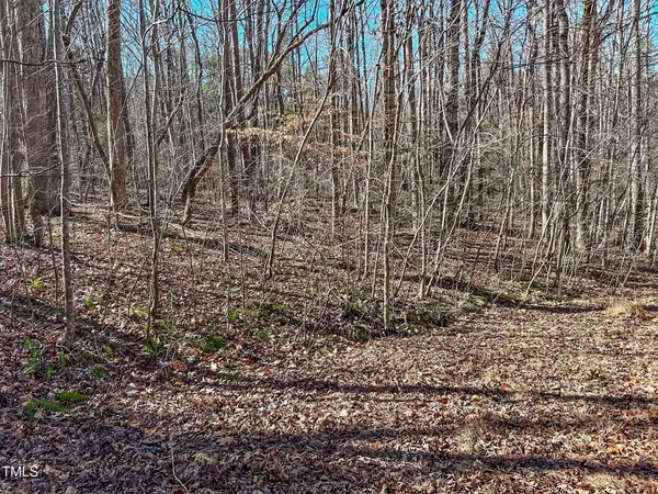 Timberlake, NC 27583,Lot 42 Oak Knob Court