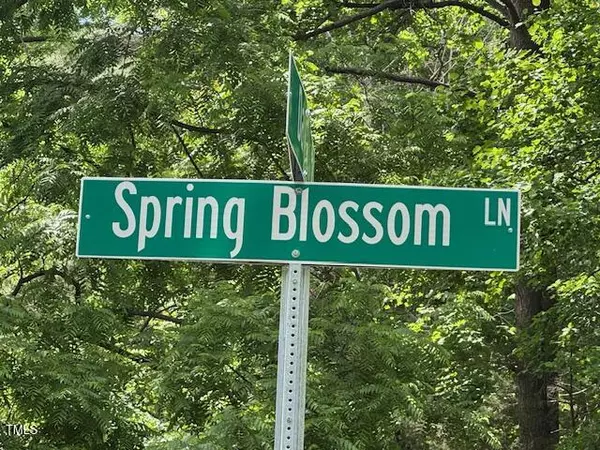 103 Spring  Blossom Lane, Durham, NC 27705
