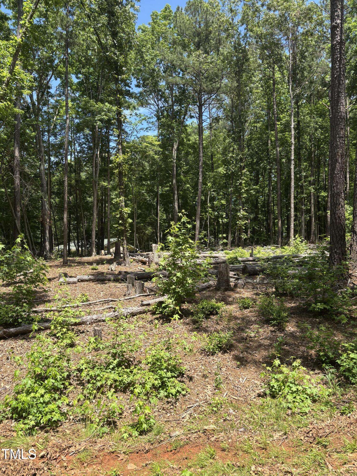103 Fort Drive, Louisburg, NC 27549