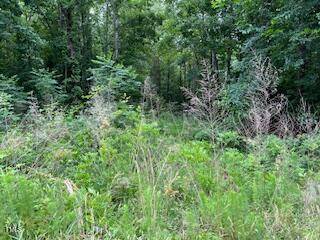 Manson, NC 27553,00 Frank Bullock Road