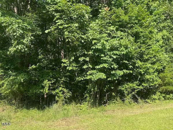 Lot 2 Uzzle Road, Rougemont, NC 27572