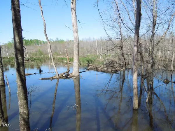 Tbd Piedmont Rd Avenue, Gibsonville, NC 27249