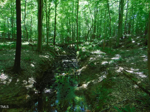 Lot 3 Hesters Store Rd., Roxboro, NC 27574