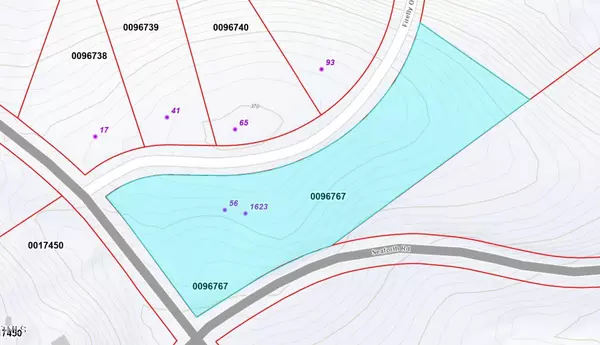 Pittsboro, NC 27312,56 Firefly Overlook