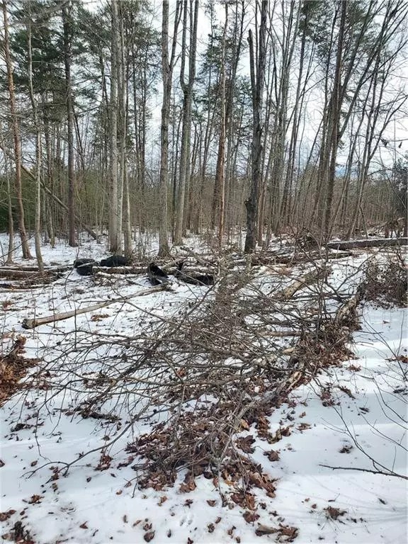 Yanceyville, NC 27379,530 Hines Hatchett Road