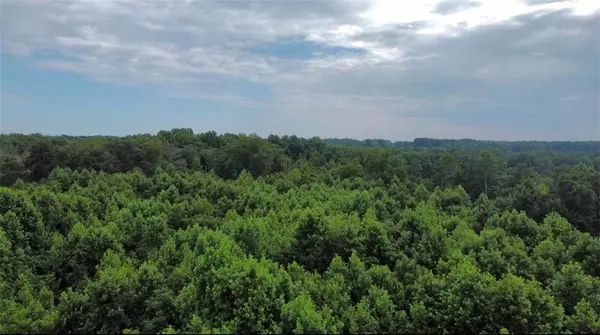 Staley, NC 27355,0 Willard Road