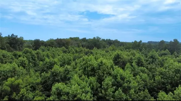 Staley, NC 27355,0 Willard Road