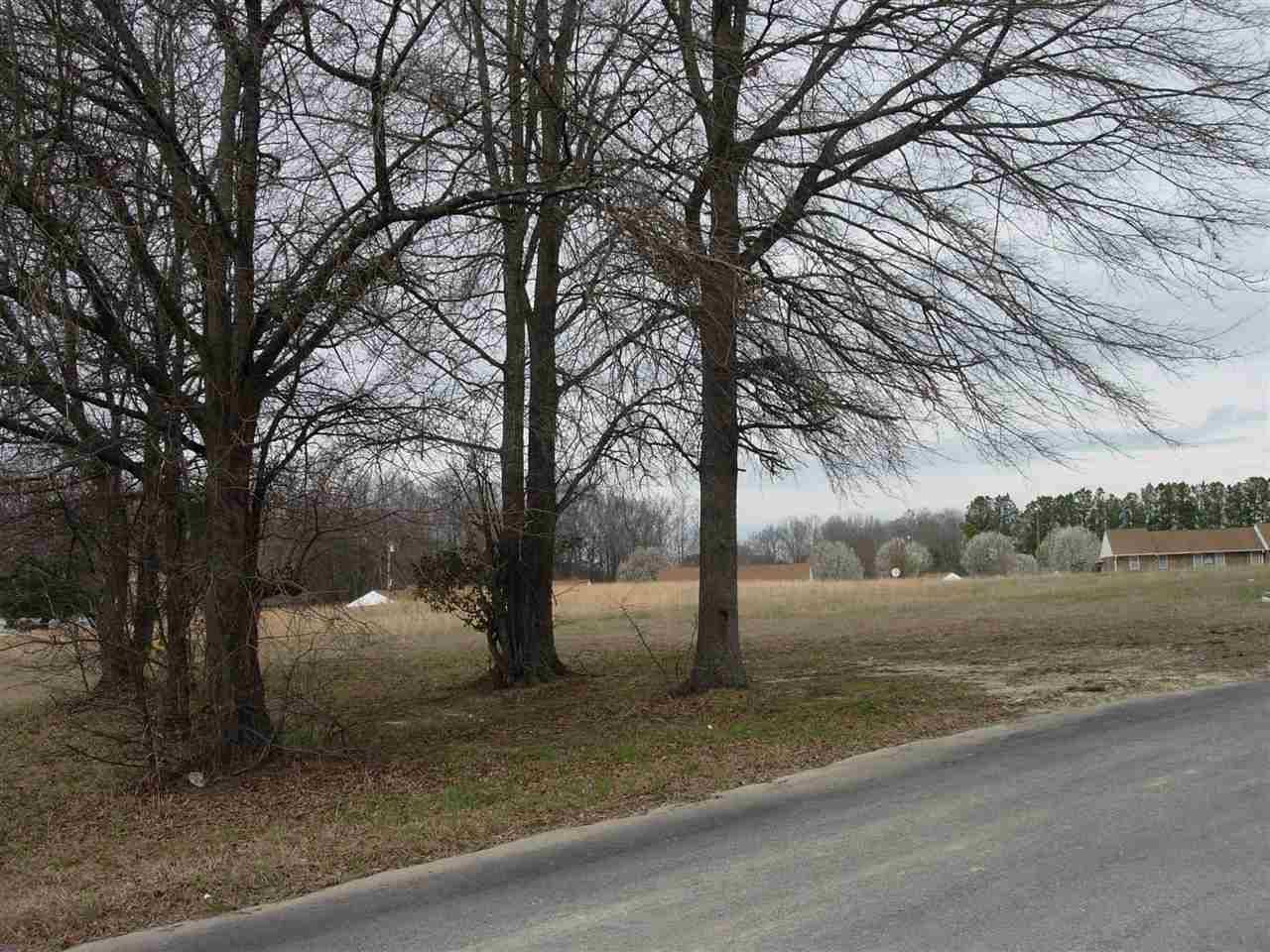 W Dupree Street, Angier, NC 27501