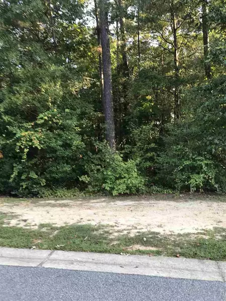 601 Carolina Oaks Avenue, Smithfield, NC 27577