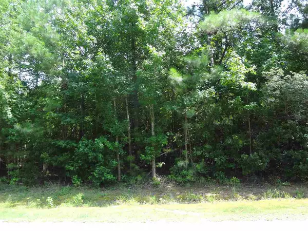 lot 3 Harris Road, Louisburg, NC 27549