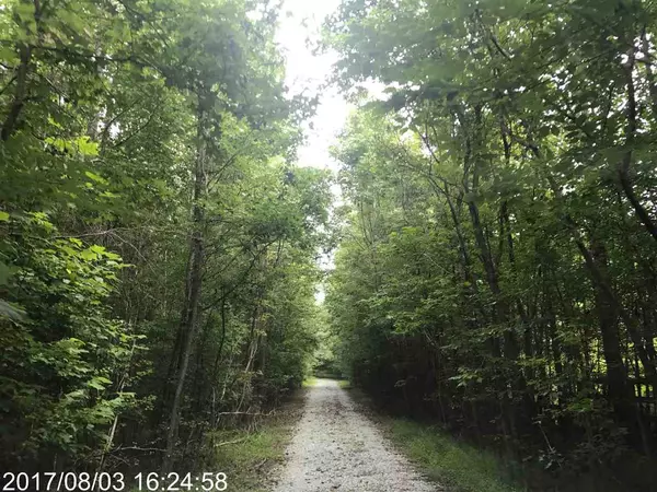 LOT 12 Belle Pointe, Hillsborough, NC 27278