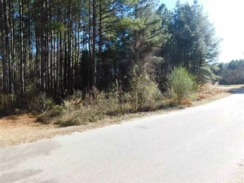 Lot 22 Whitney Drive, Louisburg, NC 27549