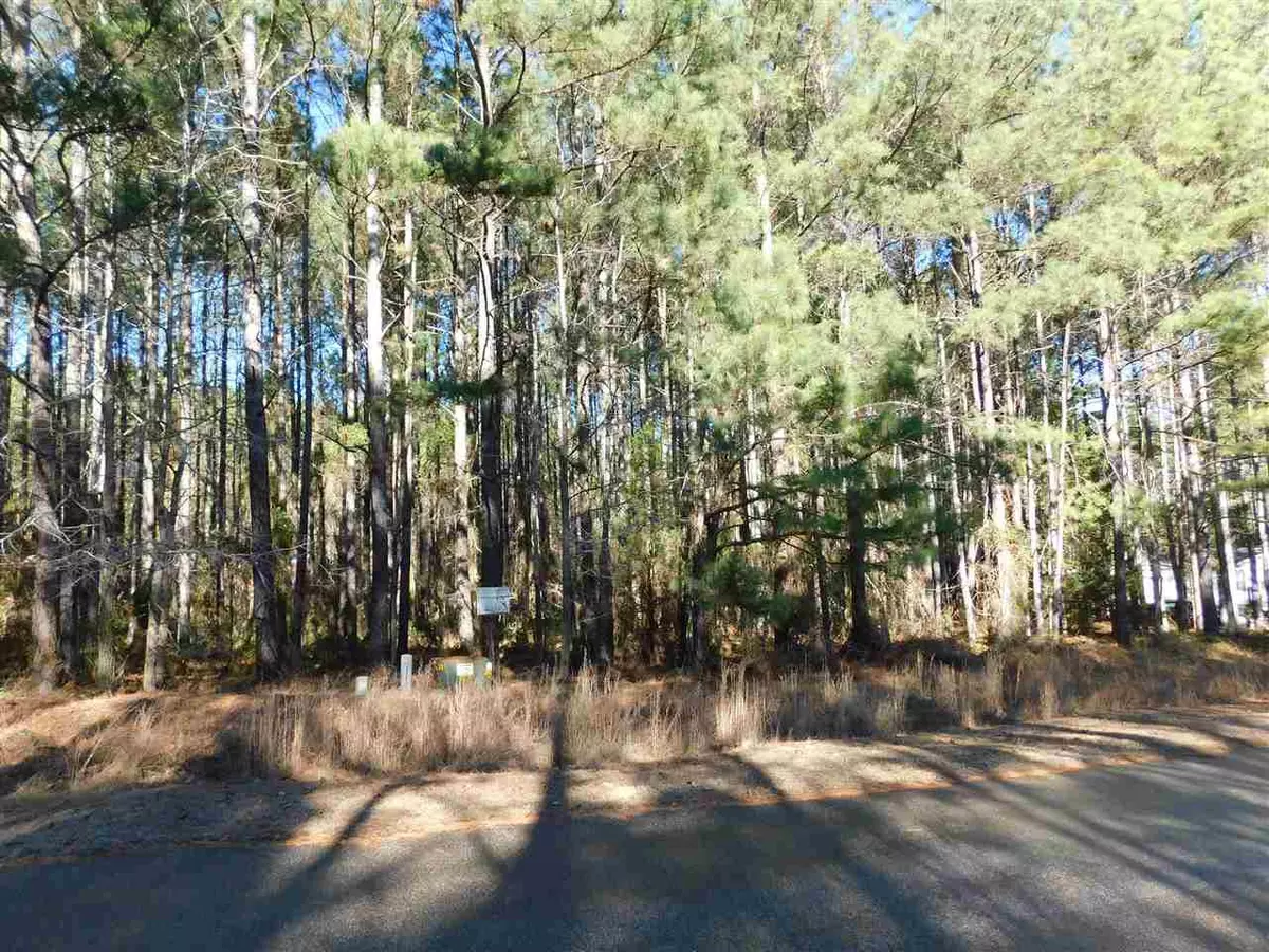Louisburg, NC 27549,Lot 24 Whitney Drive