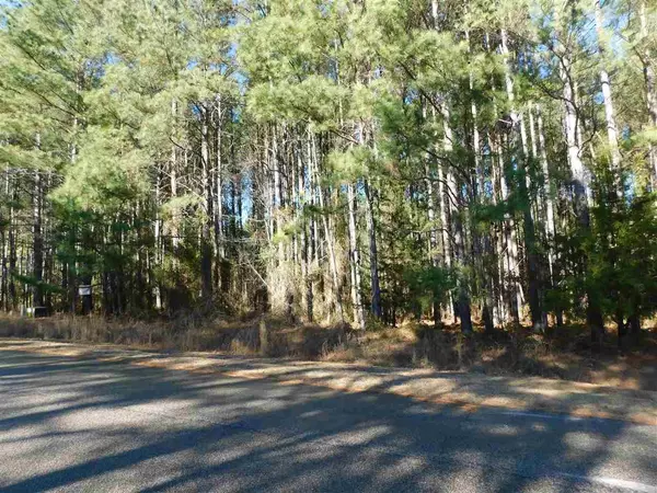 Louisburg, NC 27549,Lot 24 Whitney Drive