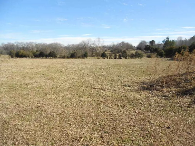 Lot 1 Black Horse Run, Bear Creek, NC 27207