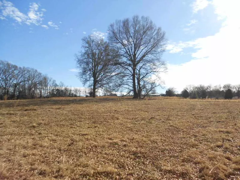 Lot 3 Black Horse Run, Bear Creek, NC 27207