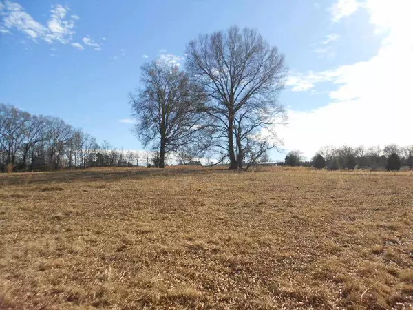 Bear Creek, NC 27207,Lot 3 Black Horse Run