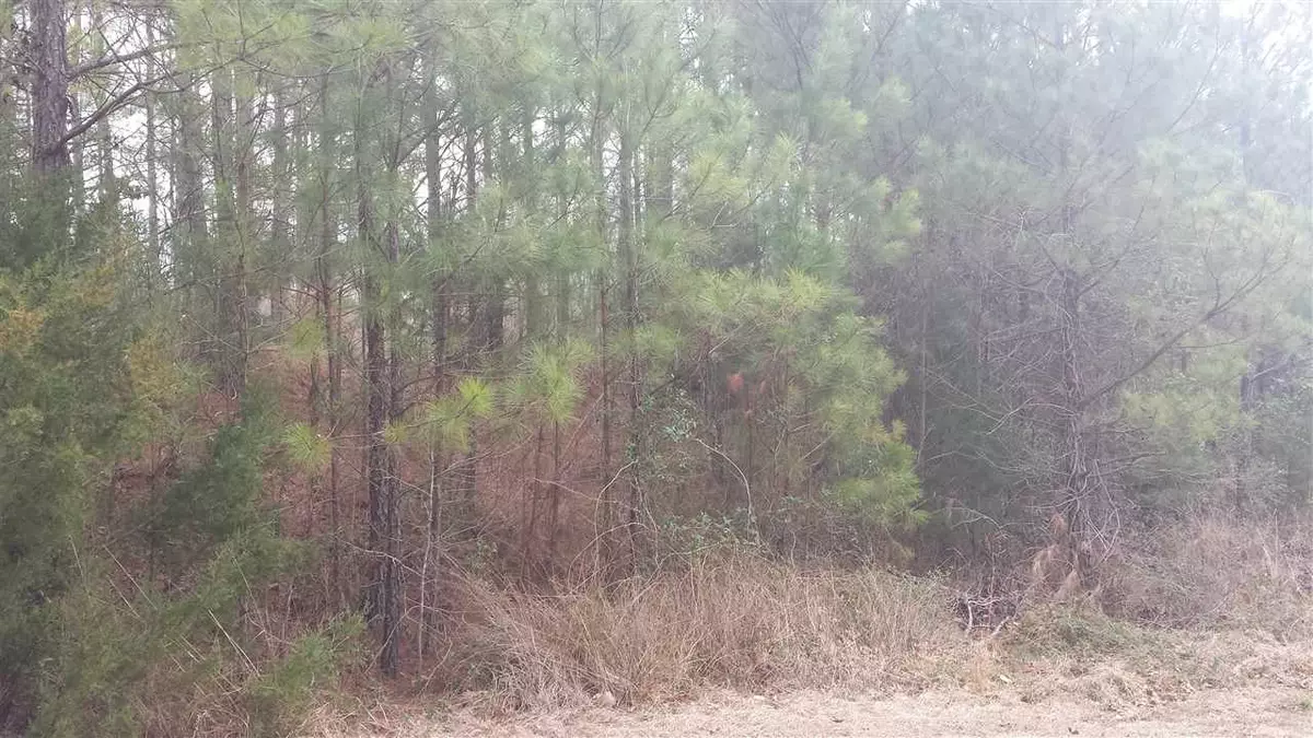 Stem, NC 27581,LOT 20 Northridge Drive