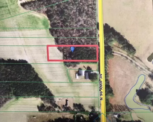 LT1 NC 96 Highway, Selma, NC 27576