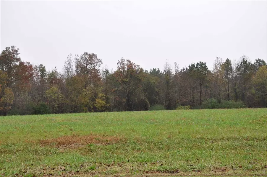 TBD N Old US 421 Road, Staley, NC 27355