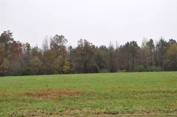 Staley, NC 27355,TBD N Old US 421 Road