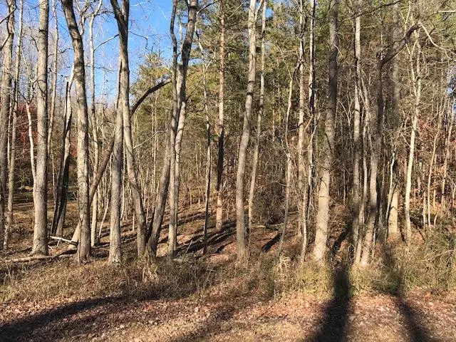 Rougemont, NC 27572,3611 Red Mountain Road