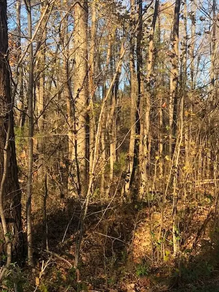 Lot 25 Old Pleasant Drive, Hillsborough, NC 27278