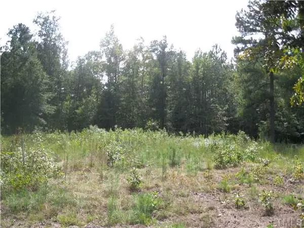 Lot 0 N NC Highway 87, Pittsboro, NC 27312