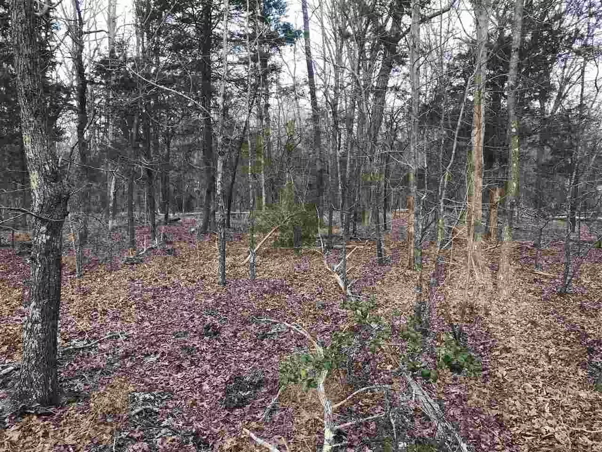 Mebane, NC 27302,2823 Violet Lane