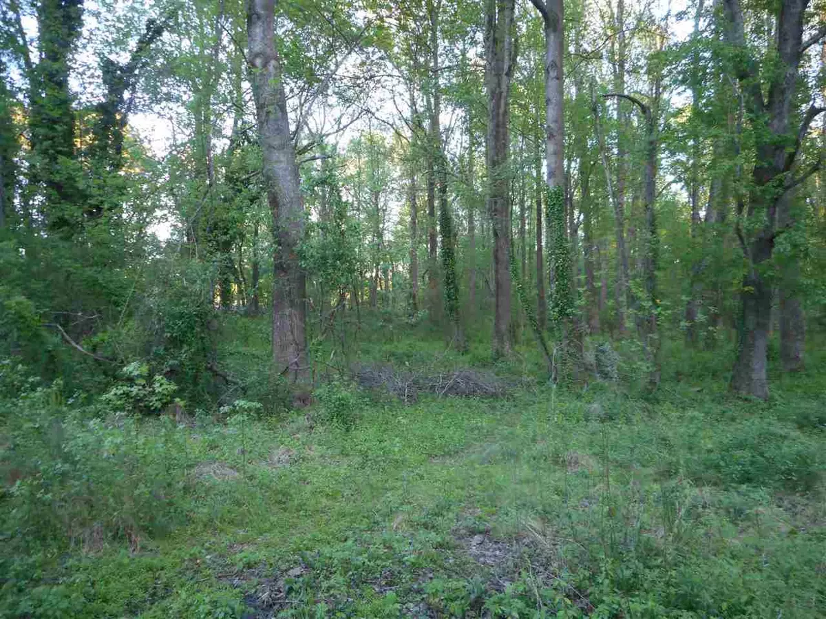 Fuquay Varina, NC 27526,403 Meadow Drive