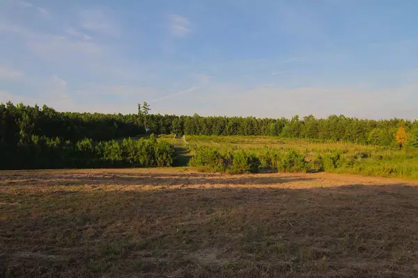 5001 Cooper Road, New Hill, NC 27562