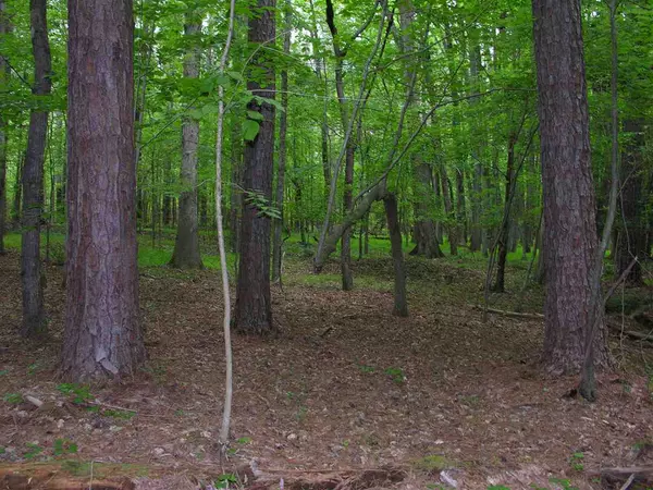 5121 Mid Ridge Court, Wake Forest, NC 27587