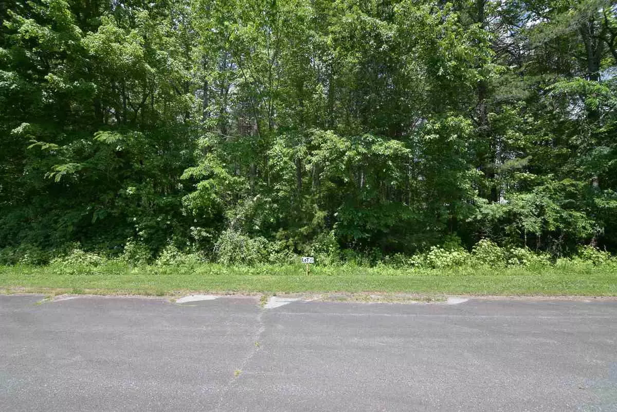 Mebane, NC 27302,Lot 39 Beaver Valley Drive