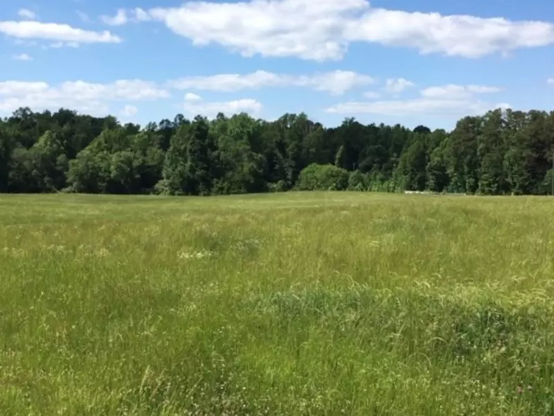 Lot A Charlie Long Road, Hurdle Mills, NC 27541