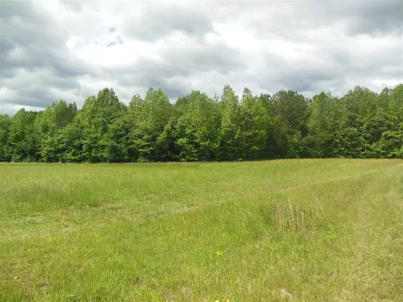 Lot # 22 Maple Springs Lane, Bear Creek, NC 27207