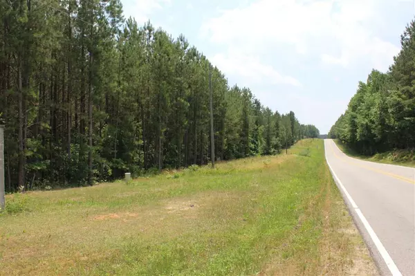 Warrenton, NC 27589,Lot 1 US 401 Highway