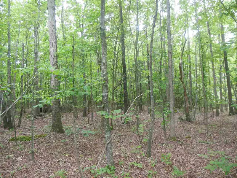 Lot # 24 Maple Springs Lane, Bear Creek, NC 27207