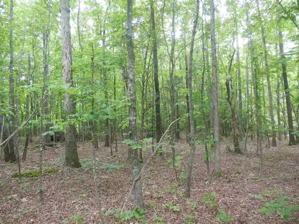 Bear Creek, NC 27207,Lot # 24 Maple Springs Lane