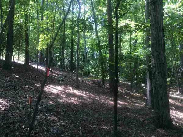 705 Gade Bryant Road, Moncure, NC 27559