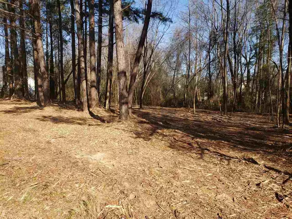 115 Wiggins Road, Angier, NC 27501